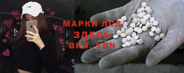 PSILOCYBIN Навашино