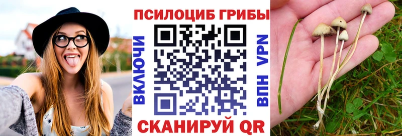что такое Шумерля Галлюциногенные грибы ЛСД