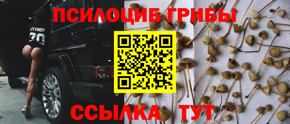 Галлюциногенные грибы Magic Shrooms  Псилоцибиновые грибы ЛСД  Вход с VPN  Шумерля 